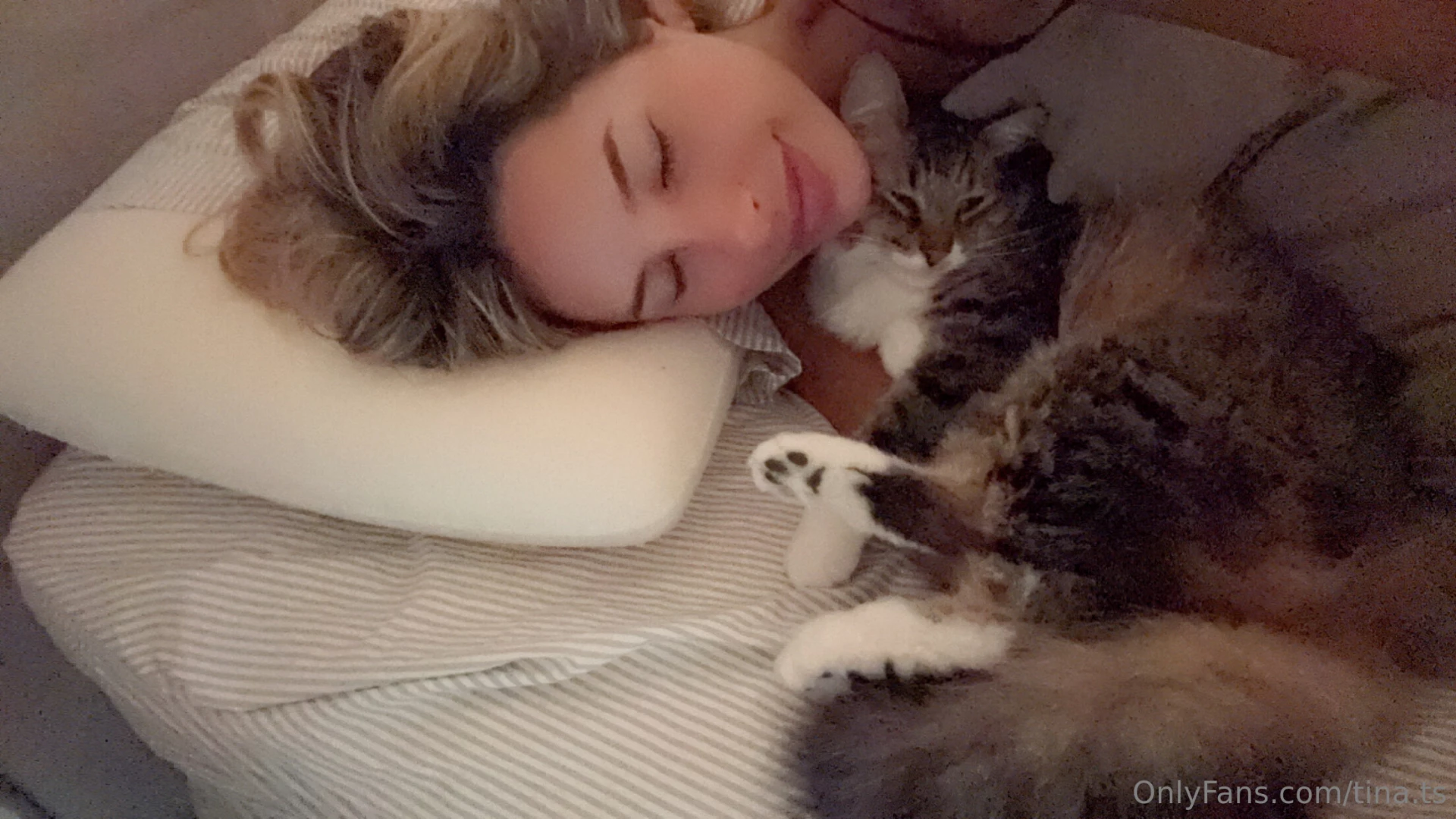 Sweet dreams meow 