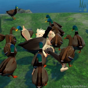 Bird up