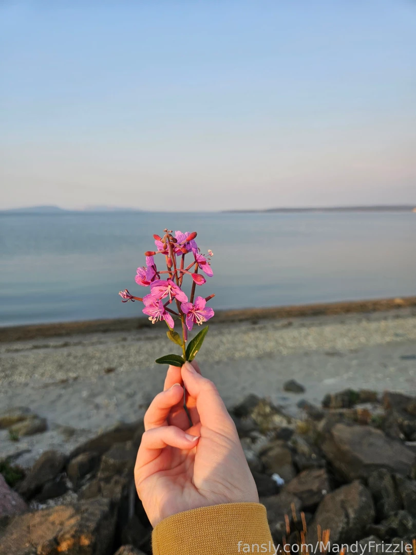 I m back from my long trip out west i saw yellowstone and bear lodge part 1 