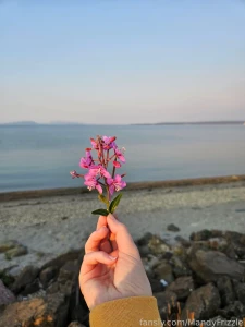 I m back from my long trip out west i saw yellowstone and bear lodge part 1