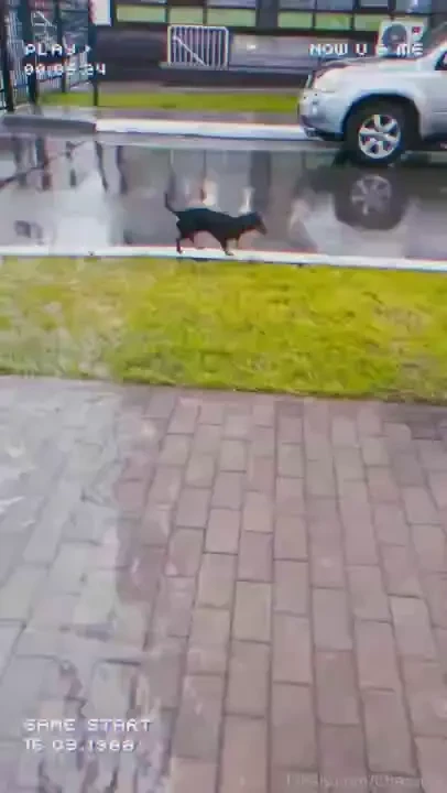 If you suddenly forgot what love looks like - i remind you lt 3 this part 2 