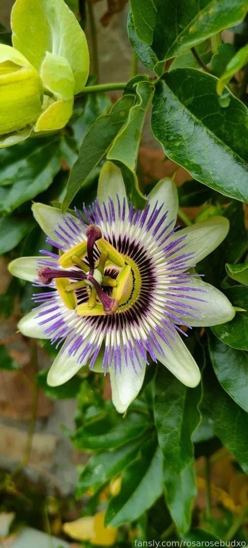 Some very very sfw pictures of my trip to spain in my little yellow part 2 