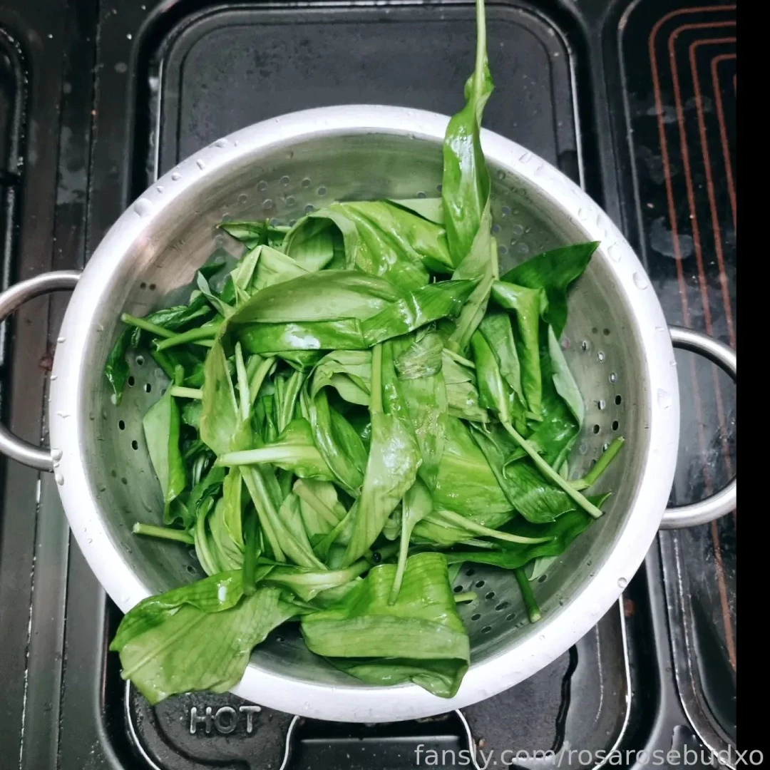 The foraging diaries wild garlic grows in abundance round areas near part 1 