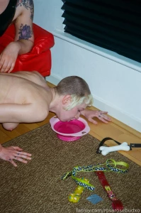 Some stills from a video clip with miss audrey brynn entitled puppy part 3