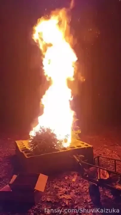 In case yall missed me lt 3 have some shuvi slice of life ehe will be part 11 