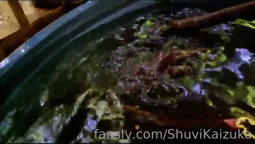 Some of my recent adventures in japan with pet picks to cheer you up p part 10 