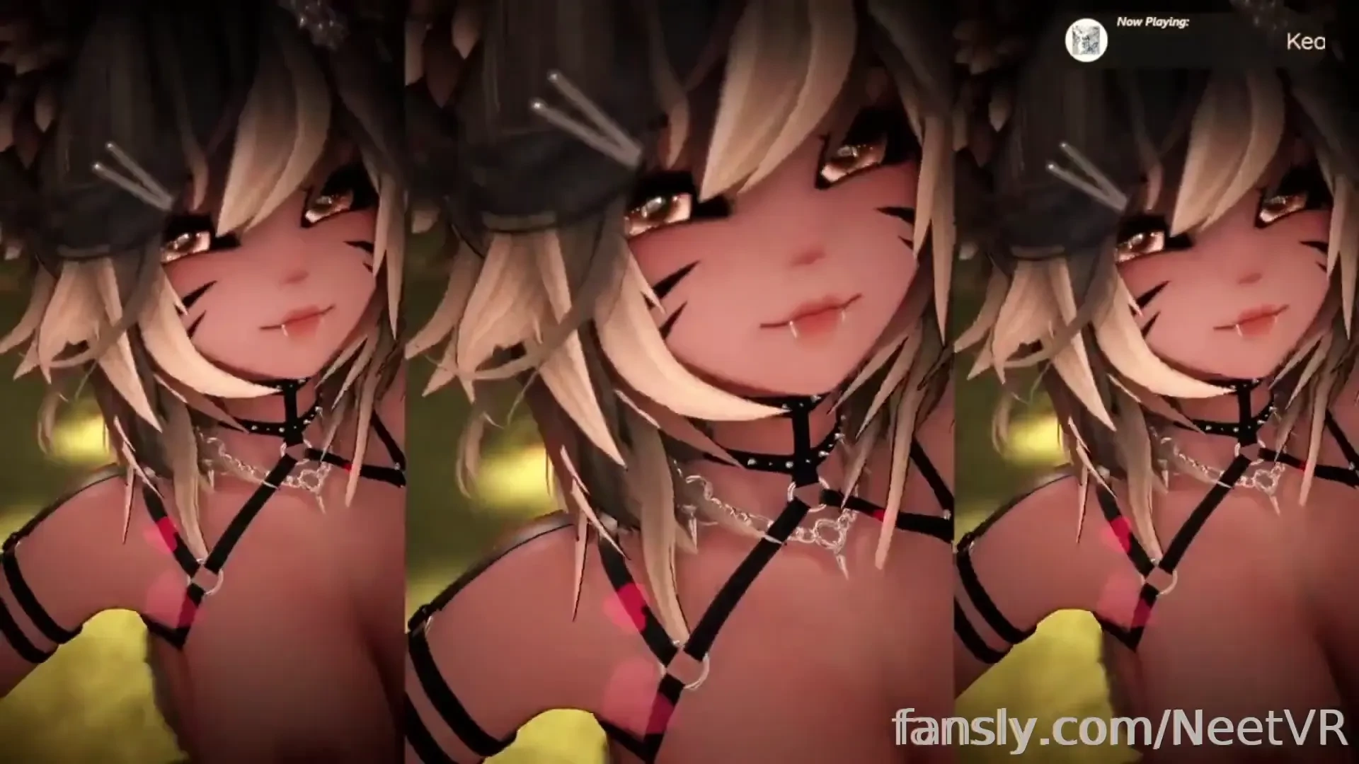 Updated 2025 welcome message lt 3 hello i m neet the raccubus raccoon 