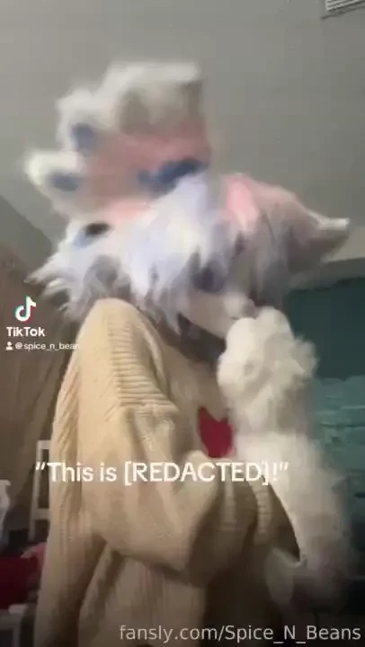 Here s my silly tiktoks for you guys part 1 