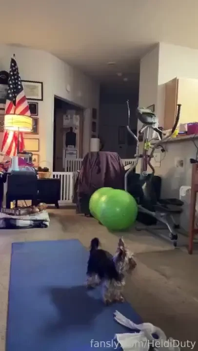 Yorkieyoga birthasanas submissive conception fantasy heididutytime 