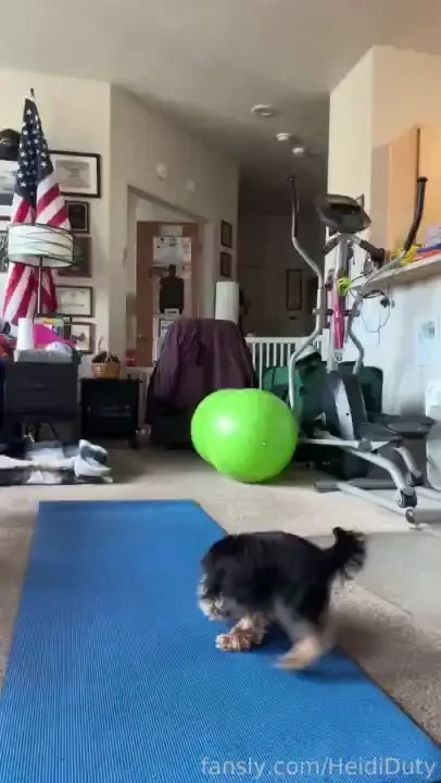 Heididutytime heidihaus marvingaye prayers monday yorkieyoga 