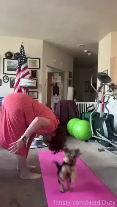 Heidihaus heididutytime yorkieyoga 