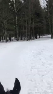 I also love horse riding i will always be glad to ride with you in the part 1