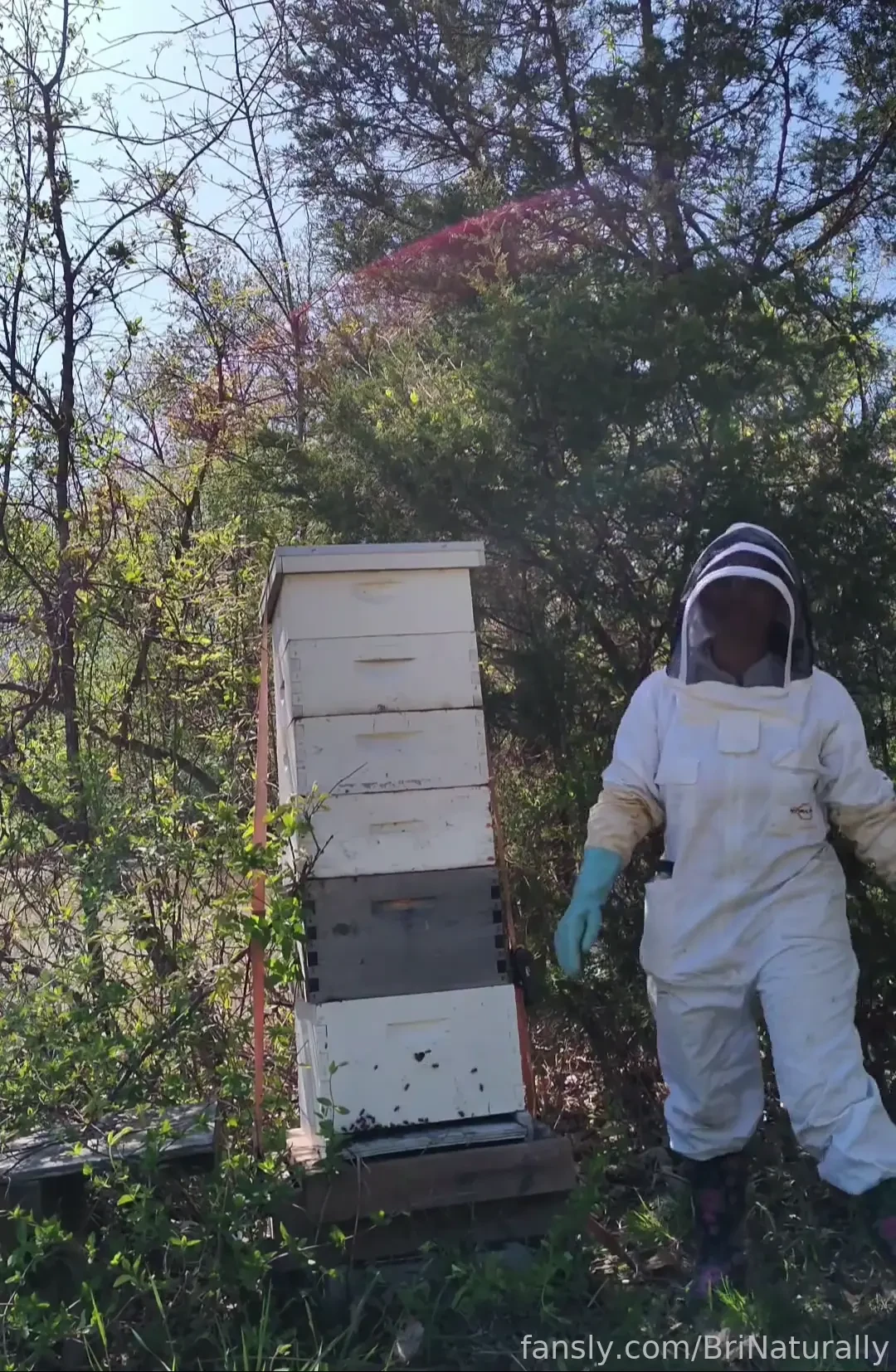 Daydreaming of warm days with my bees sfw bc i m sick of this cold amp 