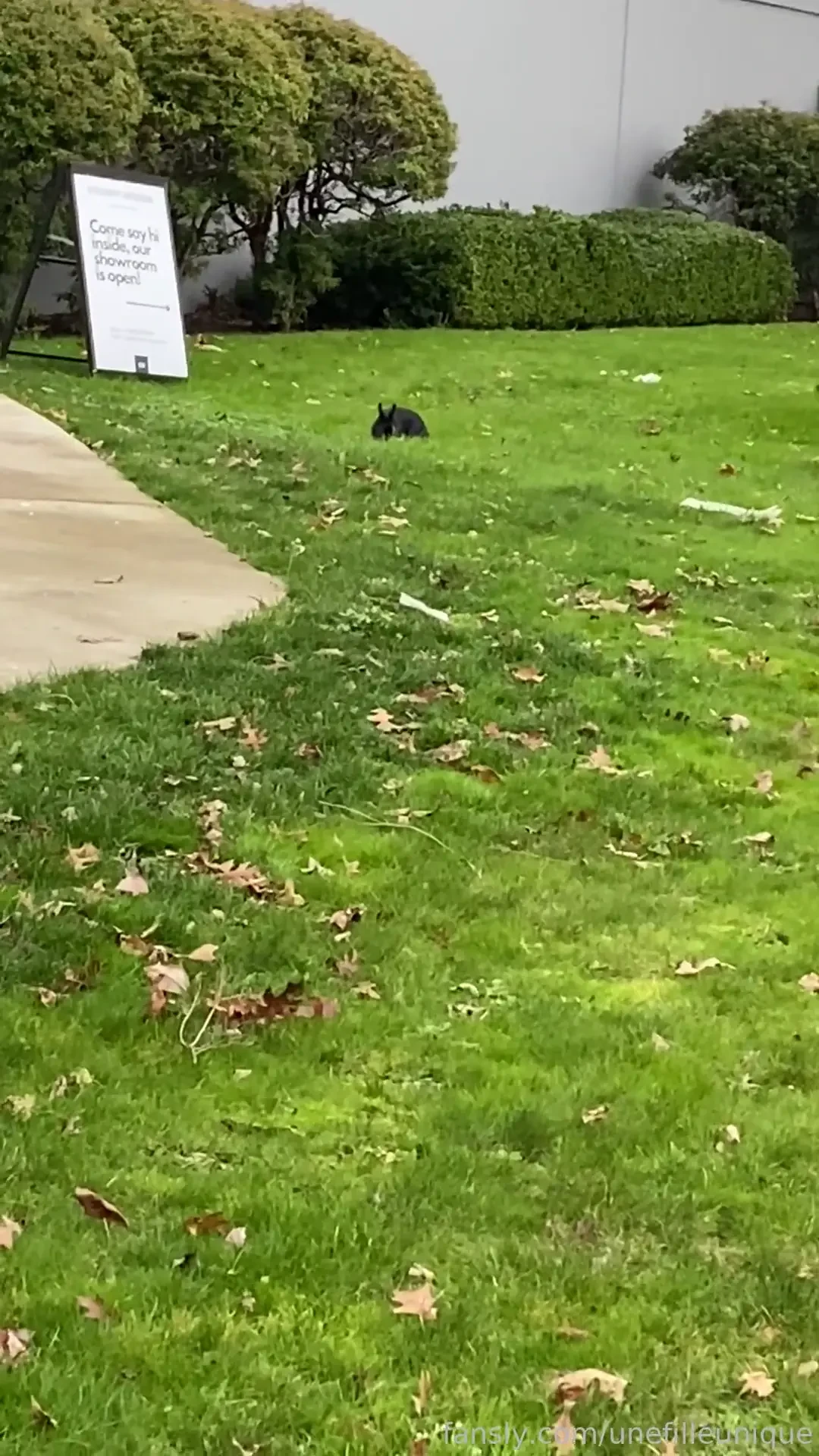 314692183762411520 part 346 