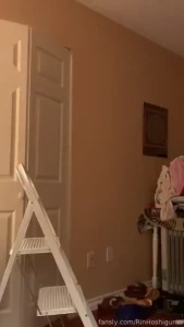 November 2020 sarah moore from rosalind ashe s moths part 3