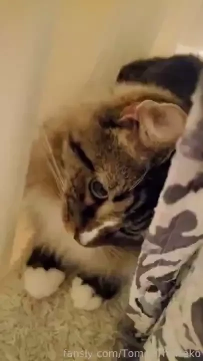 Sneaky boi 