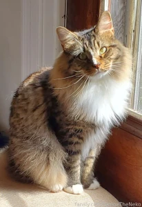 Jelli being handsome