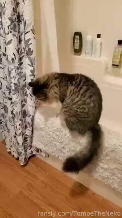 Someone seems to be exploring 