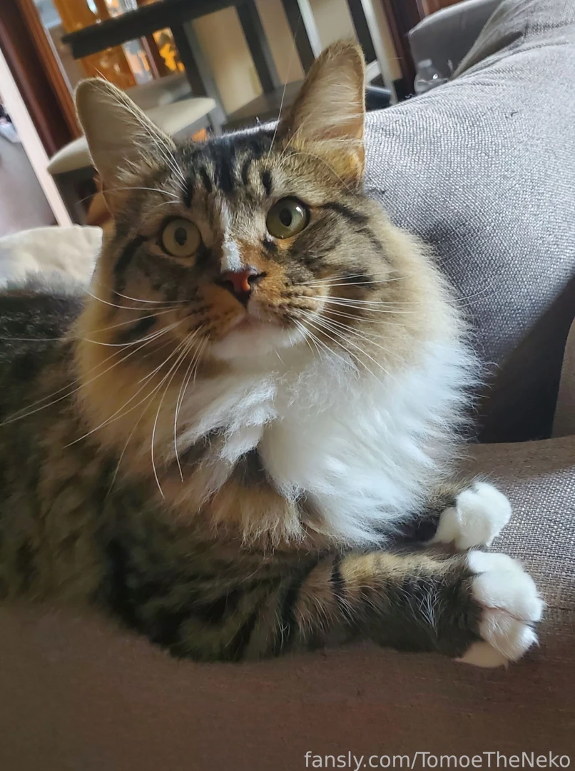 My handsome little man part 1 