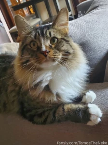My handsome little man part 1