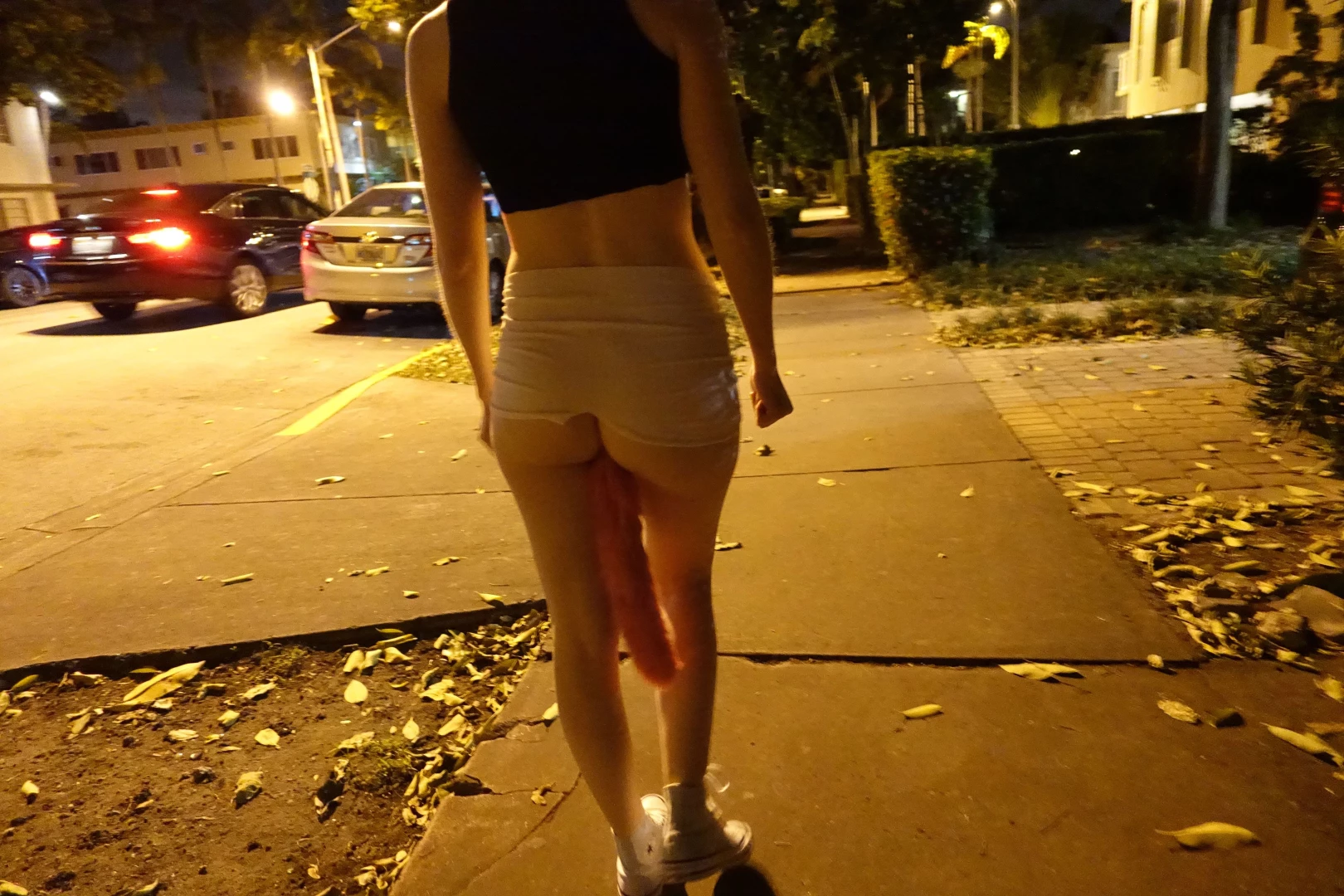 Some photos that go with the tail buttplug video see yesterday s post part 1 