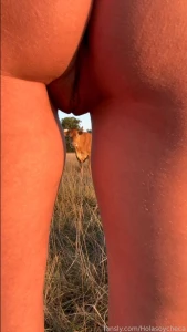 Beautifull day in nature i just jumped in this field with cows and