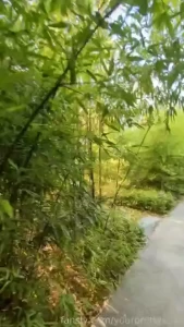 Little japan in russia this is the most beautiful park in russia a part 6