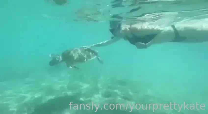 When shooting this video not a single turtle was injured they have 
