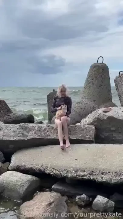 What a cute creature came to me on the beach so cute i didn t even 