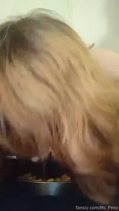 Just being a kitty cat nya 