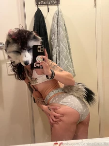 Wolf ass wolf ass wolf ass emo femboy emofemboy furry furryfemboy part 1