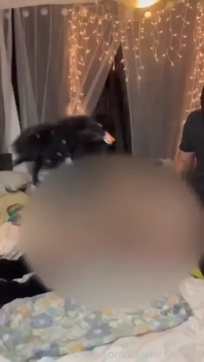 O furry puppy gets fucked hard by his owner he fucked me and then made 