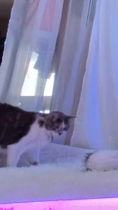 5 min of interruption by cat while doing this months shoot i deal with