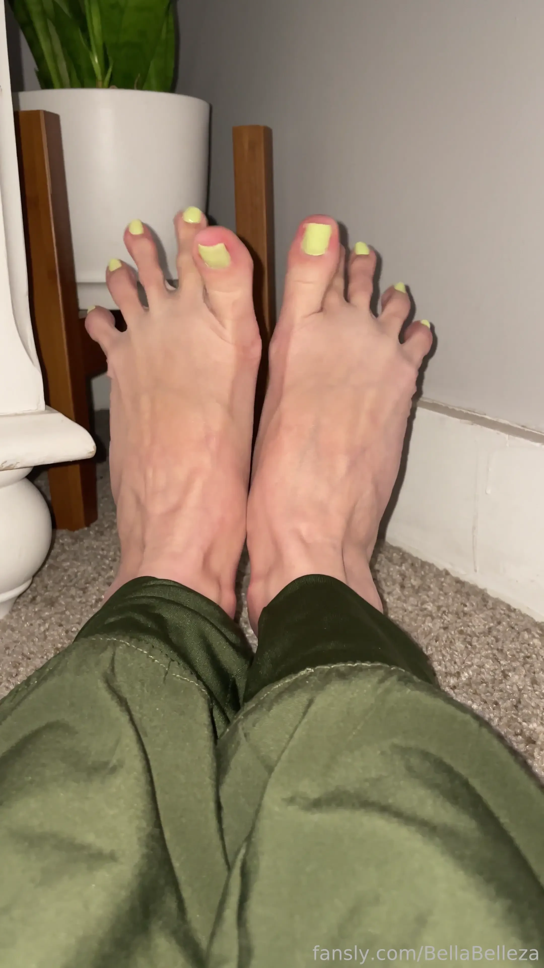 Happy st patrick s day enjoy this one minute clip with audio showing 