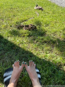 Having little ducks nibble and walk on my feet made me laugh so much part 2