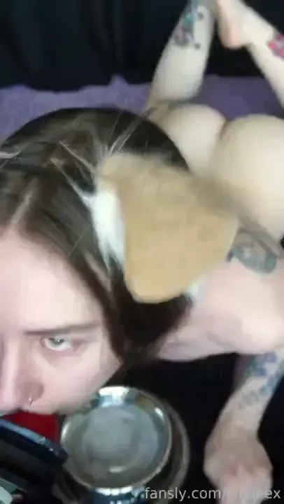 Puppy is out of the pound and allowed to shove things down her throat 