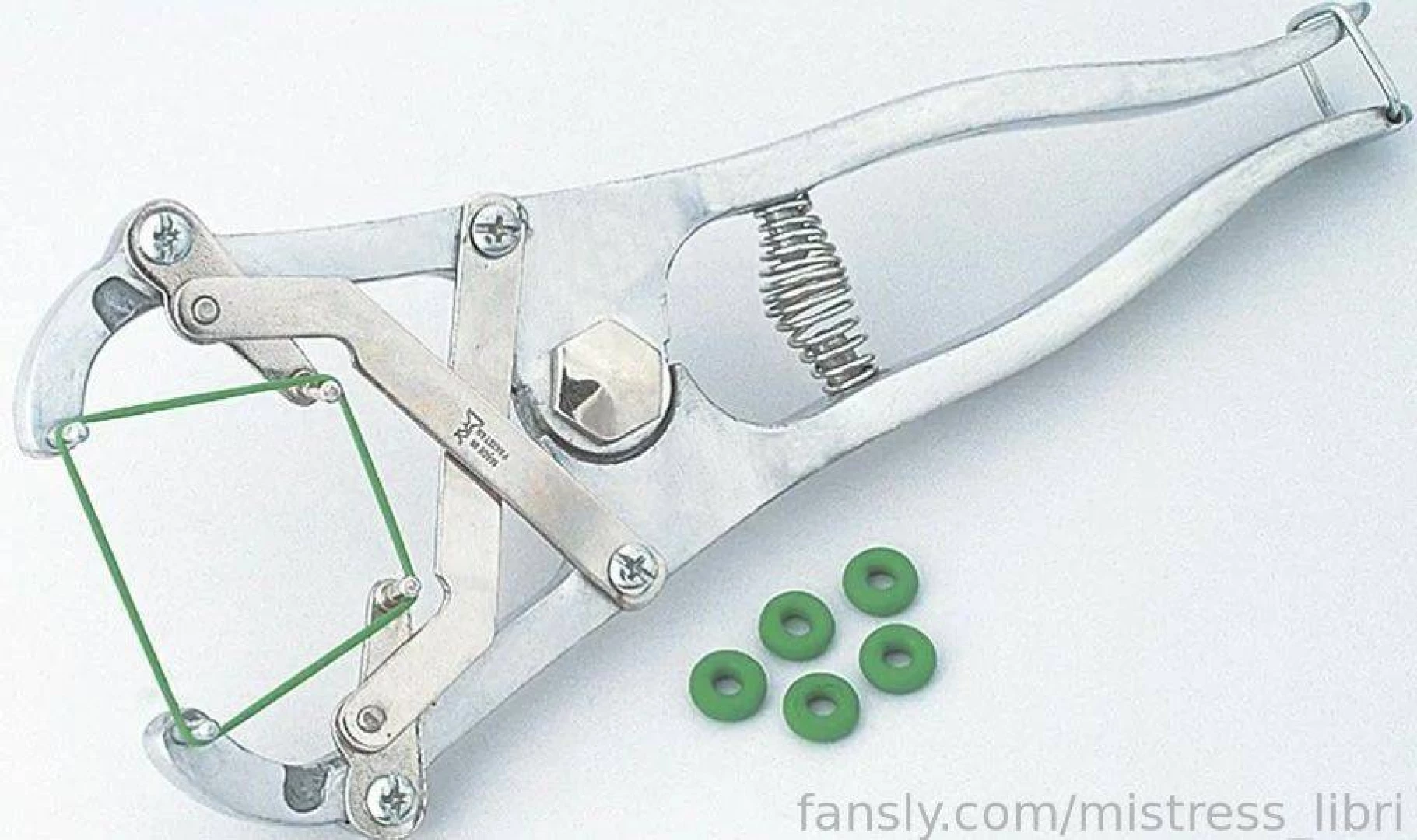 Upd it s my b-day 11 1 2023 i want the only one elastator for 