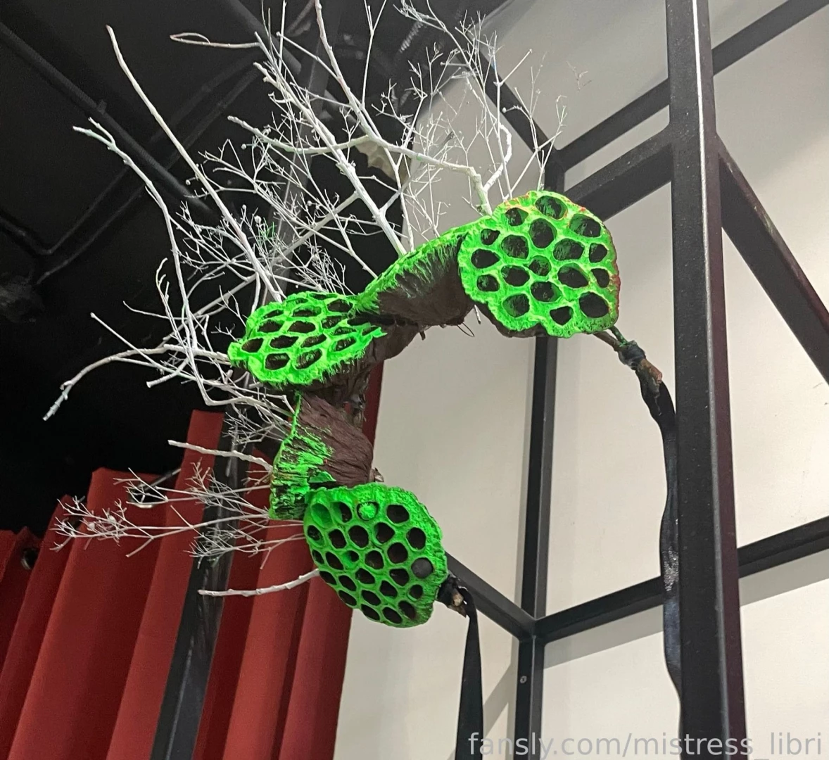 Hello my sweet butts look what a crown i made for myself from dry 