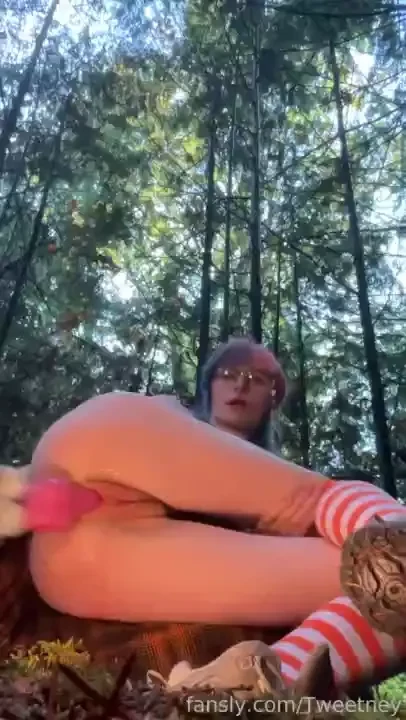285497227235827712 part 24 