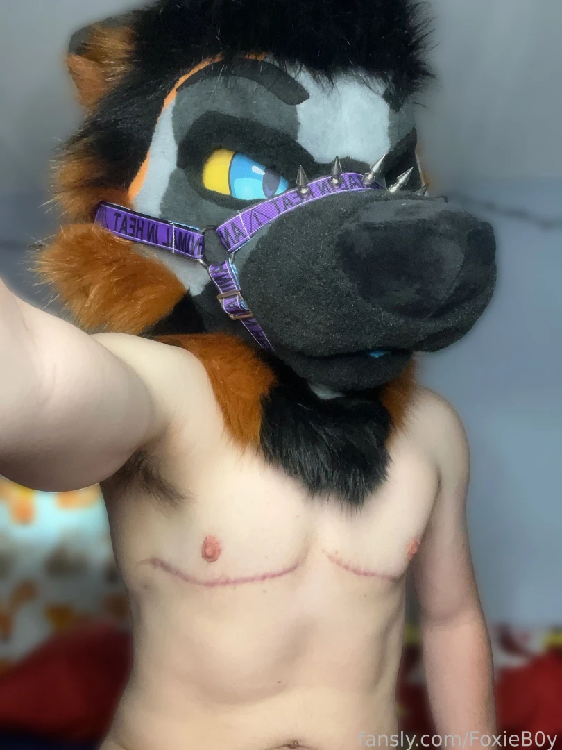 My fav furry fursuit murrsuit murrsuiting mask ftm athletic horny part 6 