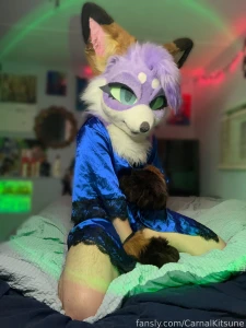 Kitsune boy trying to seduce you furry murrsuit murrsuiter softsuiter