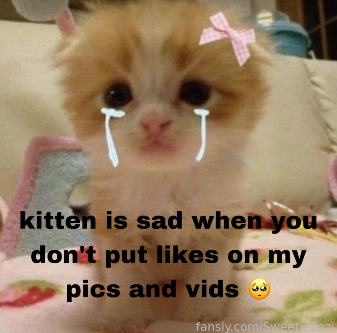 Let s make the kitten smile 