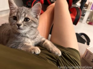 My cat day what kind of animals do you have write in the comments i ll