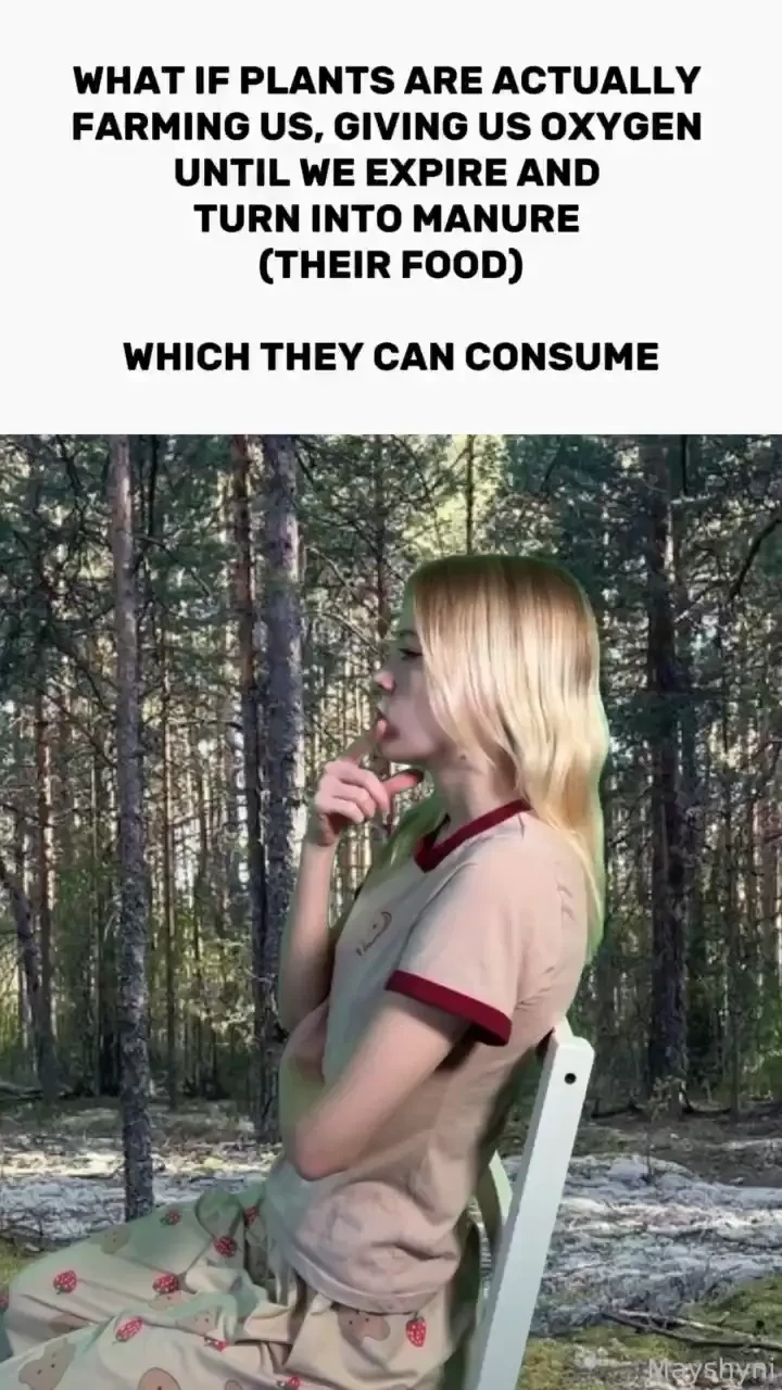 Trees strike back continuing the theme of plant conspiracy theories i 