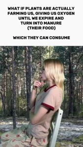 Trees strike back continuing the theme of plant conspiracy theories i