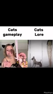Tailed friends the domestication of cats began about 10 thousand years