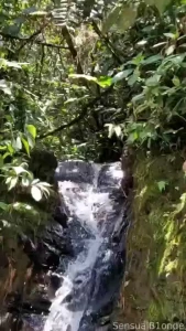 Hey ich bin nach ein paar tagen pause wieder zur ck mit ganz part 2