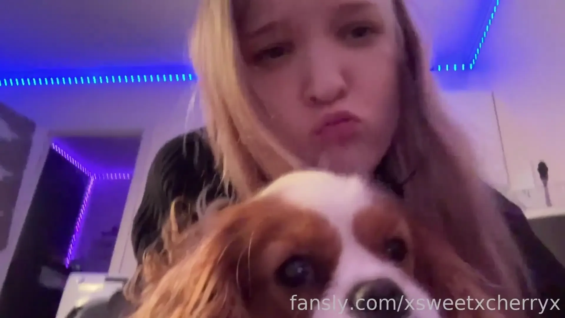 Which one of us is cuter woof-woof cute puppy soft video lifestyle 