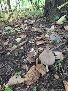 Hello everyone after a rainy day a clear one will come sfw 18 19 teens part 12