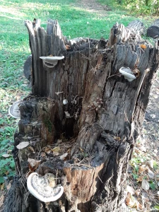 Hello everyone after a rainy day a clear one will come sfw 18 19 teens part 21